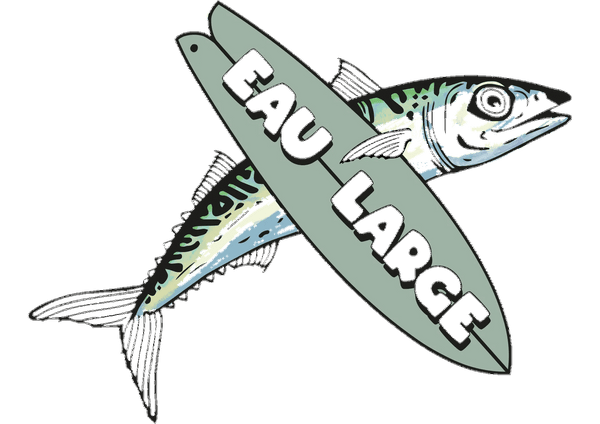 Eau Large Surf School